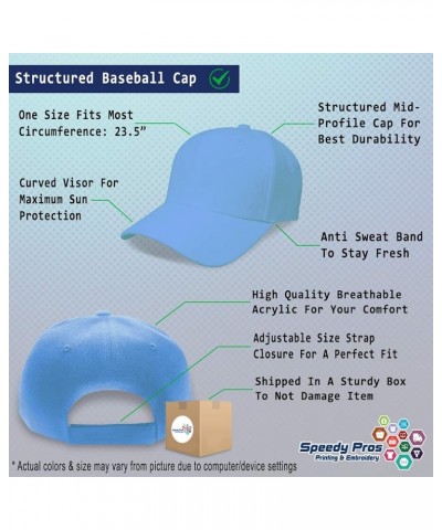 Custom Baseball Cap Connemara Pony Horses Breed Acrylic Pony Dad Hats for Men and Women Light Blue Personalized Text Here $10...