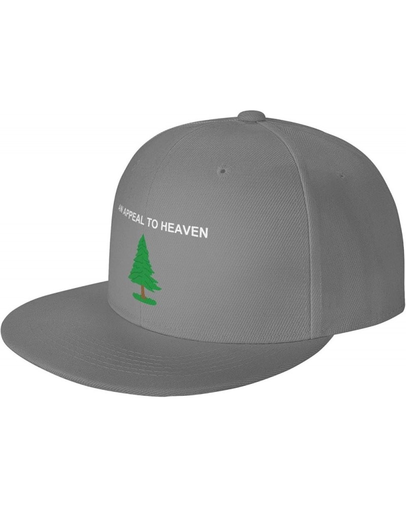 an Appeal to Heaven Snapback Hats Adjustable Fashion Classic Snapback Hat for Men Women Black Gray $10.74 Baseball Caps