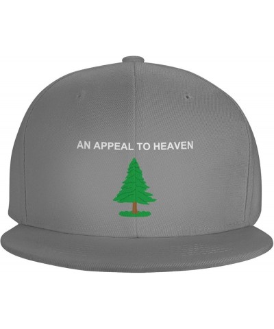 an Appeal to Heaven Snapback Hats Adjustable Fashion Classic Snapback Hat for Men Women Black Gray $10.74 Baseball Caps