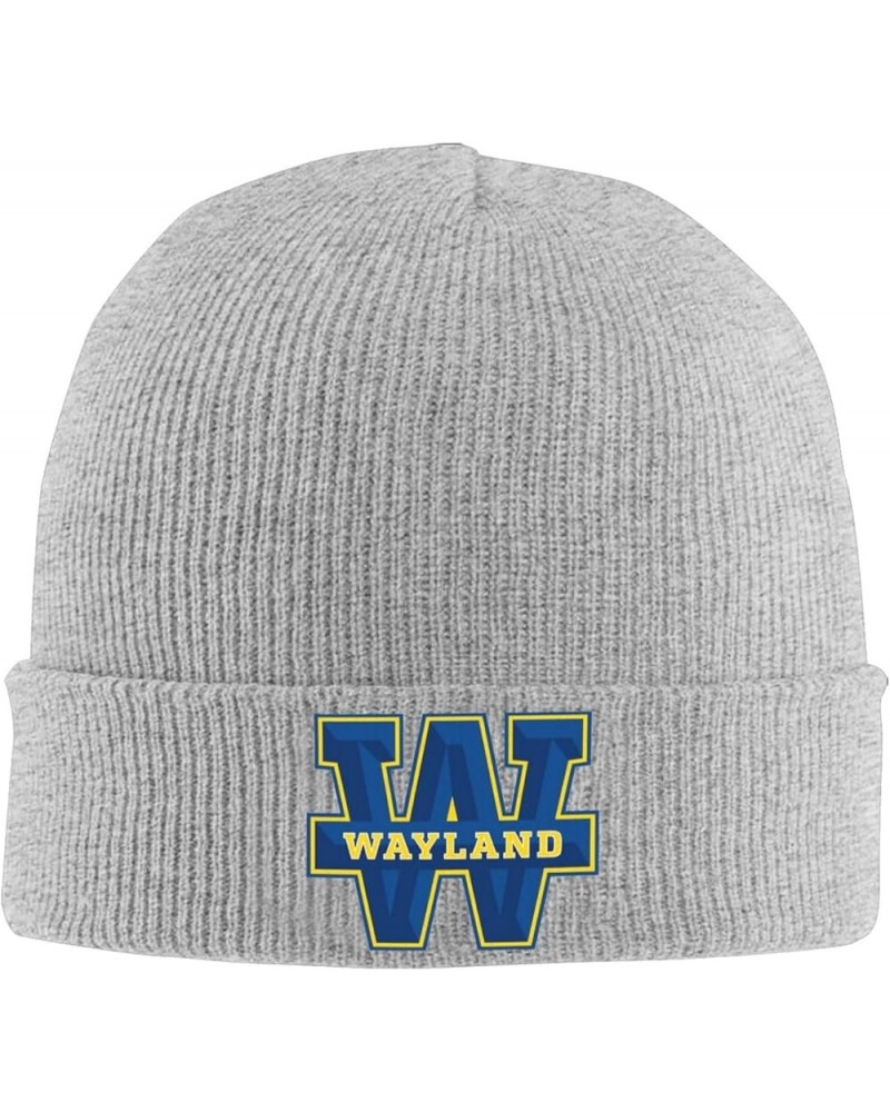 Wayland Baptist University Beanie Hat for Men and Women Winter Warm Hats Knit Slouchy Thick Skull Cap Gray $10.34 Skullies & ...