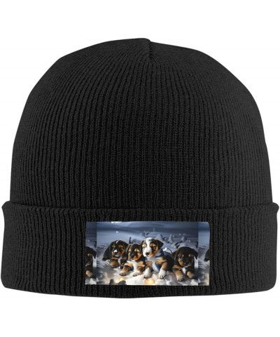 Husky Puppies Dogs Print Knitted Hat Daily Warm Hat,Outdoor Beanie Men & Women,Elastic Hat Without Brim Black $12.51 Skullies...