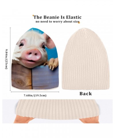 Cute Pig Men/Women Winter Beanie Hat Warm and Cozy Beanie Cap Skull Hat Cuffed Beanies Knit Reversible Beanie Cap for Skiing ...