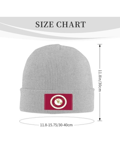 South Florida Institute of Technology Logo Stretch Beanie Knit Hat for Men Women Winter Fall Spring Warm Cap Gray $10.88 Skul...