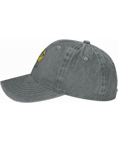 Lander University Logo Cowboy Hats，Unisex Adjustable for Hat Baseball Cap Casquette Gray $14.74 Cowboy Hats