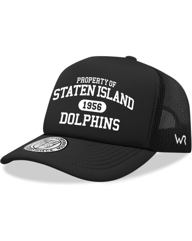 College of Staten Island Dolphins NCAA Trucker Mesh Snapback Cap Hat Black $18.38 Baseball Caps