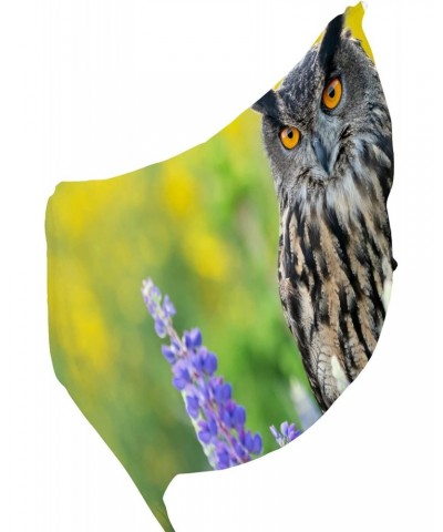 Eagle Owl in wild nature in spring time Silk Scarf Shawl Wrap for Women Girls $13.49 Scarves