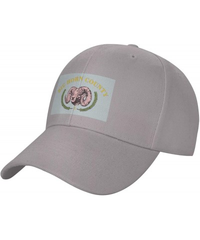 Adjustable Flag of Big Horn County, Wyoming Baseball Cap Women Men Hat Truck Driver Baseball Caps Sun Hats Gray $13.17 Baseba...