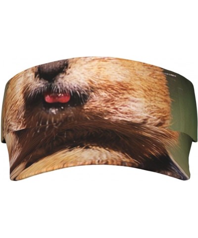 Cute Squirrel Sports Visor Hat for Men and Women Adjustable Uv Visor Baseball Cap Tennis Cap Summer Hat $13.55 Visors