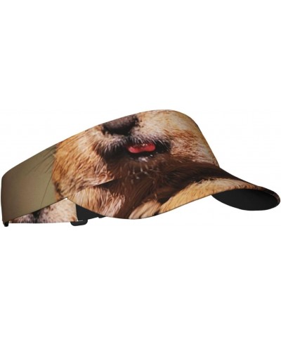 Cute Squirrel Sports Visor Hat for Men and Women Adjustable Uv Visor Baseball Cap Tennis Cap Summer Hat $13.55 Visors